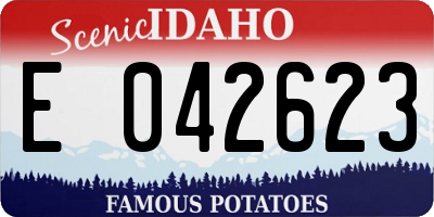ID license plate E042623