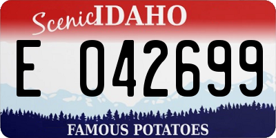 ID license plate E042699