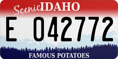 ID license plate E042772