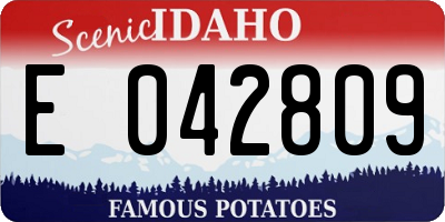 ID license plate E042809