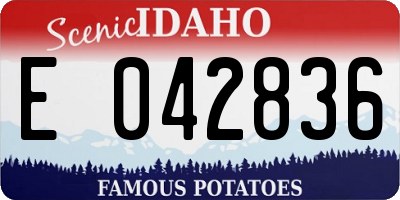ID license plate E042836