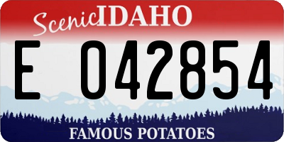 ID license plate E042854