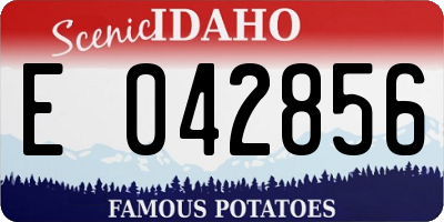 ID license plate E042856