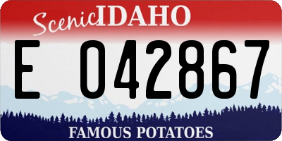 ID license plate E042867
