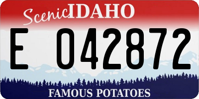 ID license plate E042872
