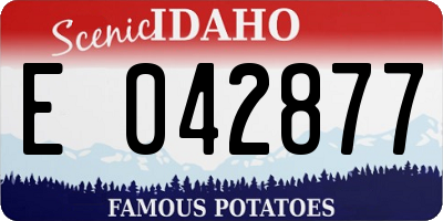 ID license plate E042877