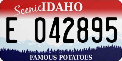 ID license plate E042895