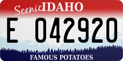 ID license plate E042920