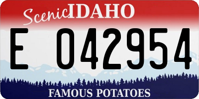 ID license plate E042954