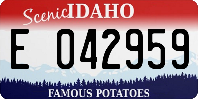 ID license plate E042959