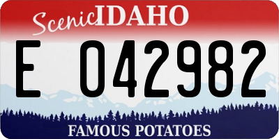 ID license plate E042982