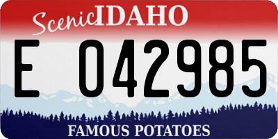 ID license plate E042985