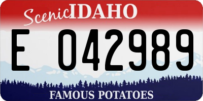 ID license plate E042989