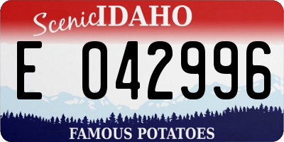 ID license plate E042996