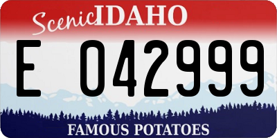 ID license plate E042999