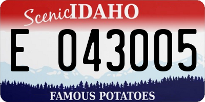 ID license plate E043005