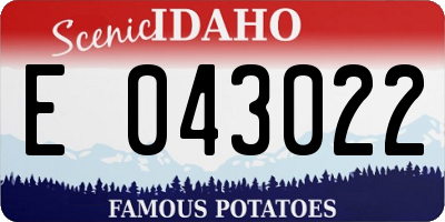 ID license plate E043022
