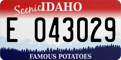 ID license plate E043029