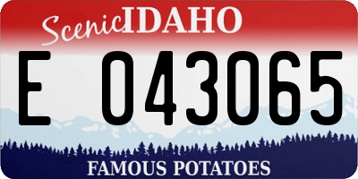 ID license plate E043065