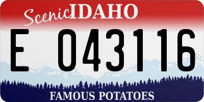 ID license plate E043116