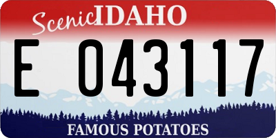 ID license plate E043117