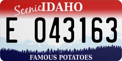 ID license plate E043163