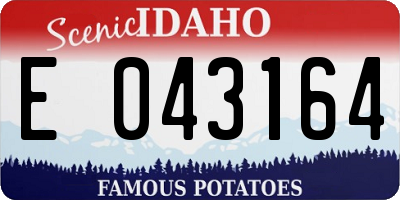 ID license plate E043164