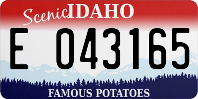 ID license plate E043165