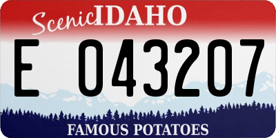 ID license plate E043207