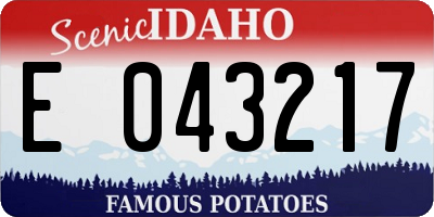 ID license plate E043217