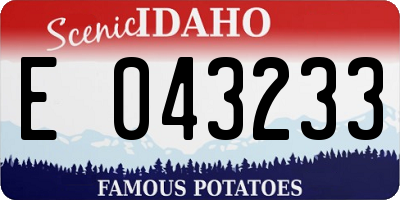 ID license plate E043233