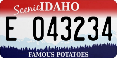 ID license plate E043234