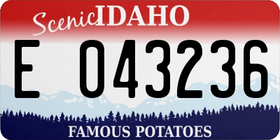 ID license plate E043236