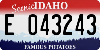 ID license plate E043243