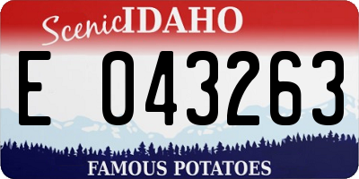 ID license plate E043263