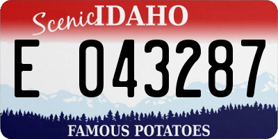 ID license plate E043287