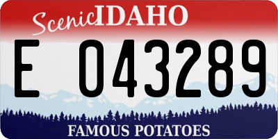 ID license plate E043289
