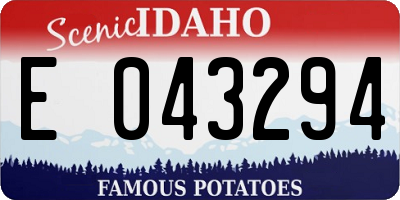 ID license plate E043294