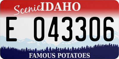 ID license plate E043306
