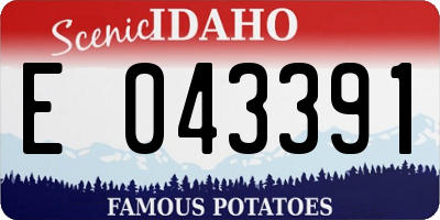 ID license plate E043391