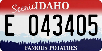 ID license plate E043405