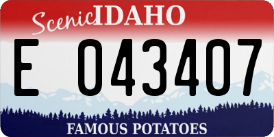 ID license plate E043407