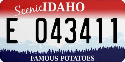 ID license plate E043411