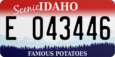 ID license plate E043446