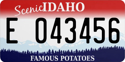 ID license plate E043456