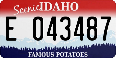 ID license plate E043487