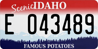 ID license plate E043489