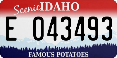 ID license plate E043493