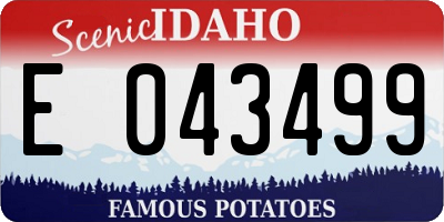 ID license plate E043499