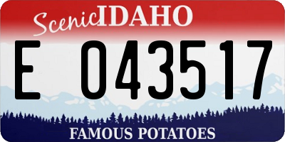 ID license plate E043517